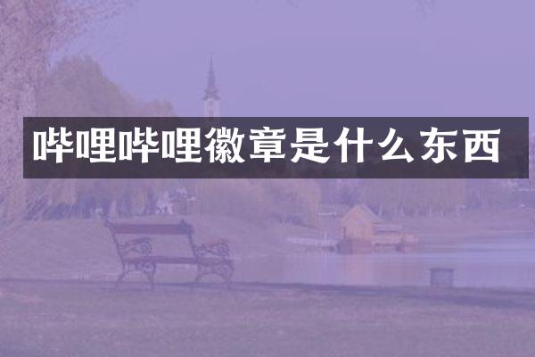 哔哩哔哩徽章是什么东西