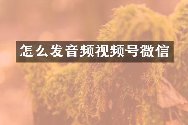 怎么发音频视频号微信