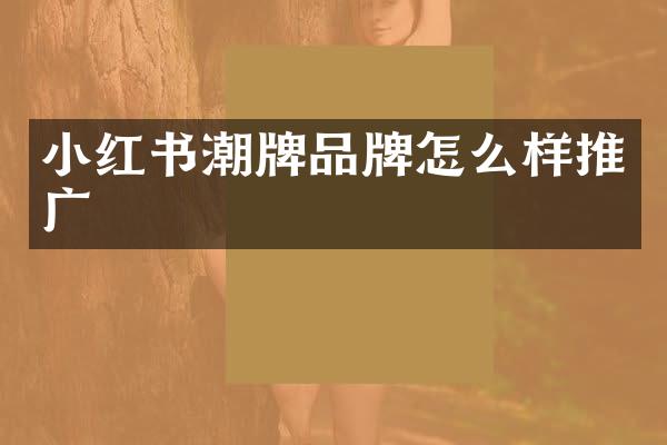 小红书潮牌品牌怎么样推广