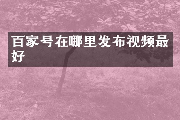 百家号在哪里发布视频最好