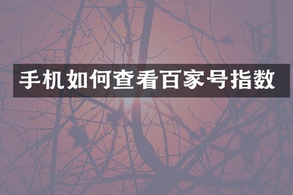 手机如何查看百家号指数