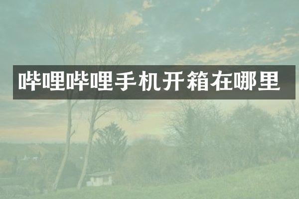 哔哩哔哩手机开箱在哪里