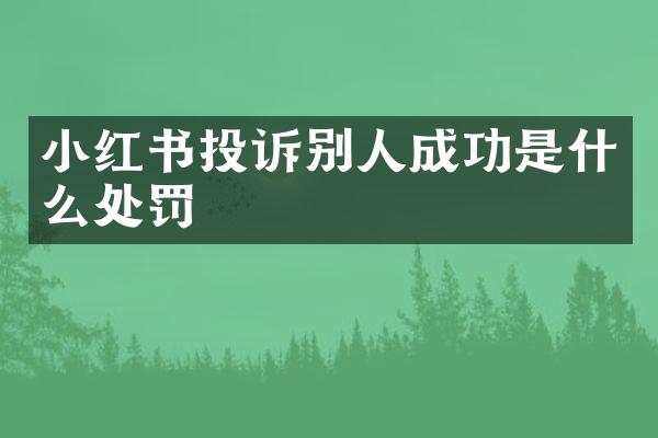 小红书投诉别人成功是什么处罚