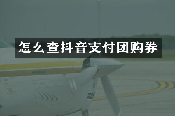 怎么查抖音支付团购券