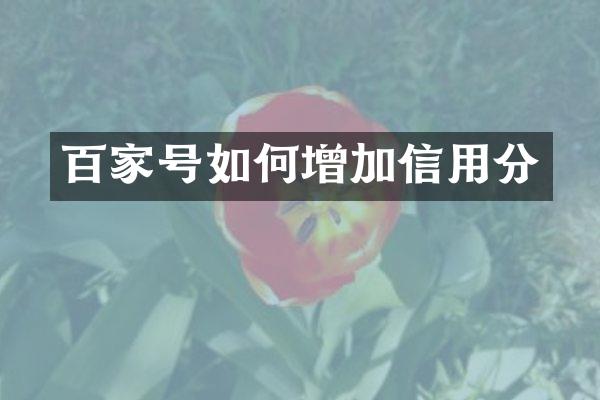 百家号如何增加信用分