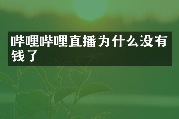 哔哩哔哩直播为什么没有钱了