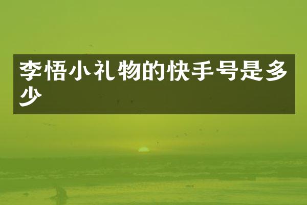 李悟小礼物的快手号是多少