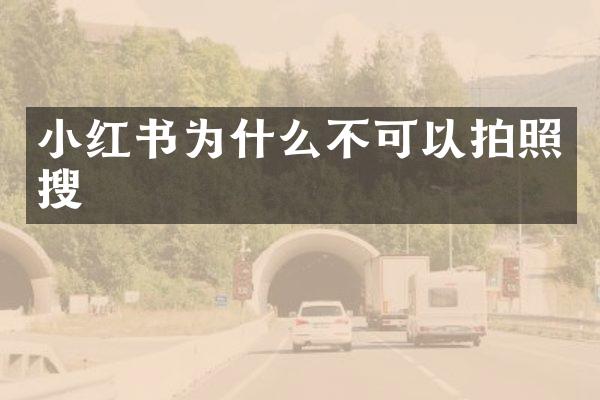 小红书为什么不可以拍照搜