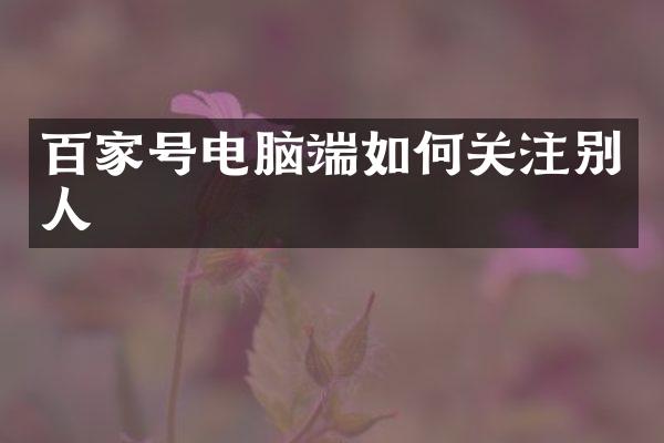 百家号电脑端如何关注别人