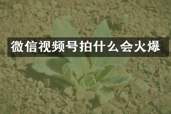 微信视频号拍什么会火爆