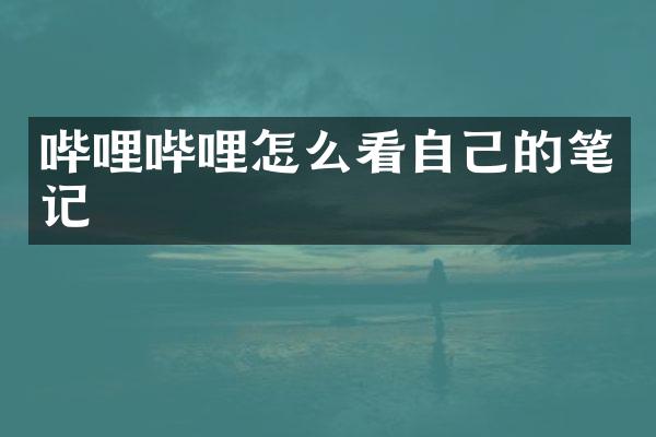 哔哩哔哩怎么看自己的笔记