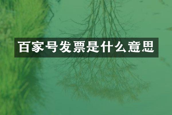 百家号发票是什么意思