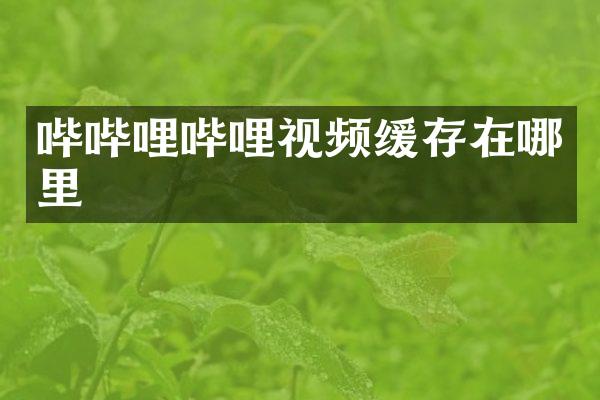 哔哔哩哔哩视频缓存在哪里