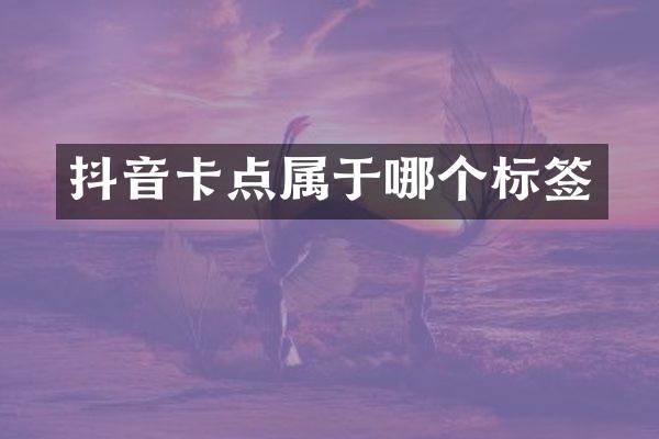 抖音卡点属于哪个标签