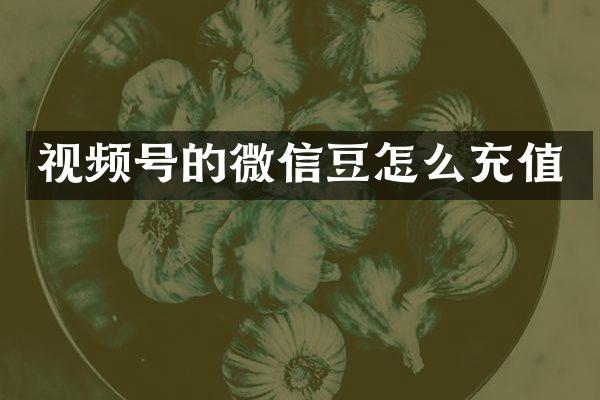 视频号的微信豆怎么充值