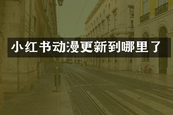 小红书动漫更新到哪里了