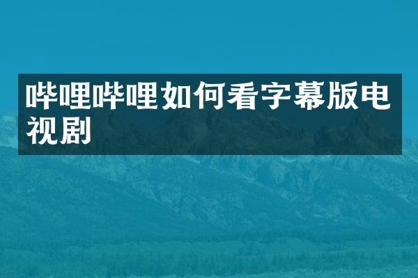 哔哩哔哩如何看字幕版电视剧