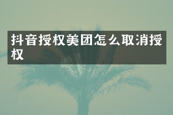 抖音授权美团怎么取消授权