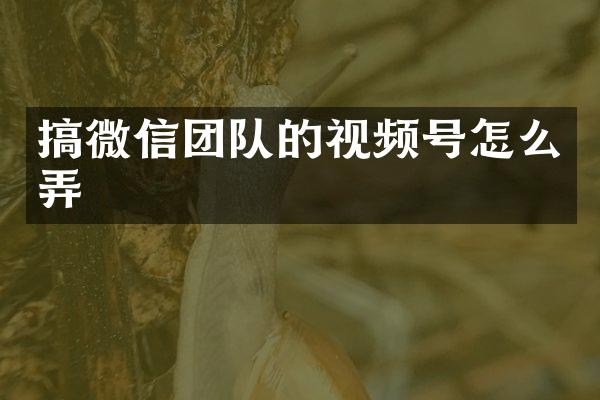 搞微信团队的视频号怎么弄