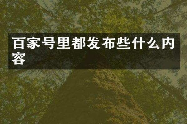 百家号里都发布些什么内容