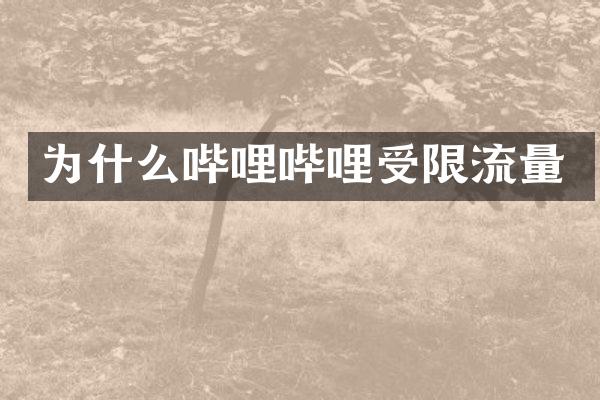 为什么哔哩哔哩受限流量