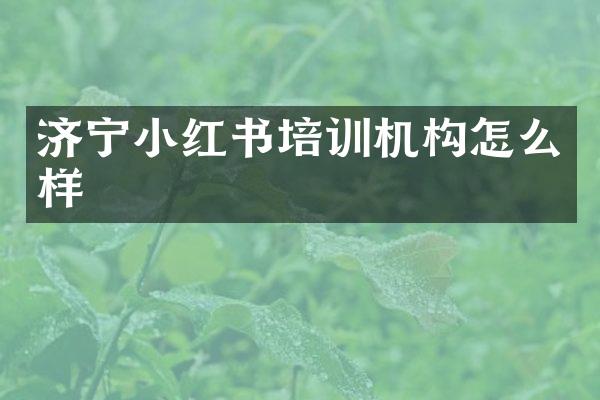 济宁小红书培训机构怎么样