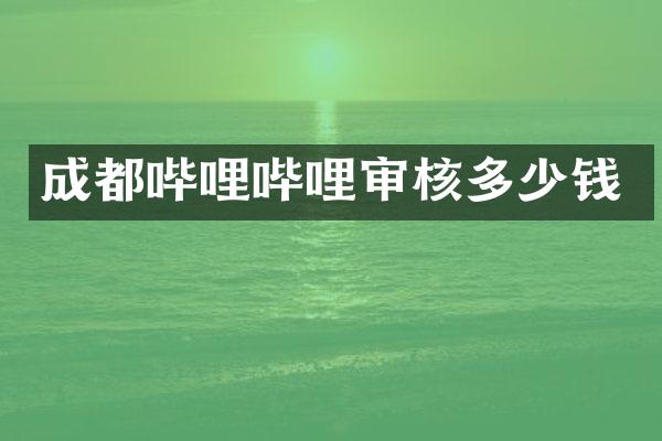 成都哔哩哔哩审核多少钱
