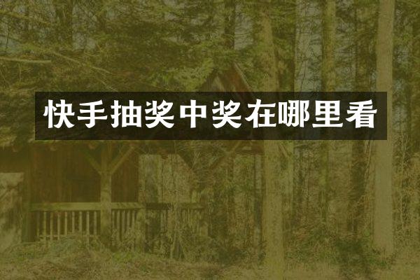 快手抽奖中奖在哪里看