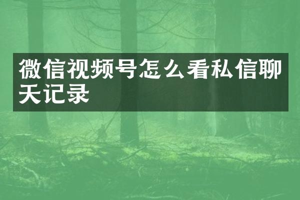 微信视频号怎么看私信聊天记录