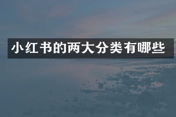 小红书的两大分类有哪些