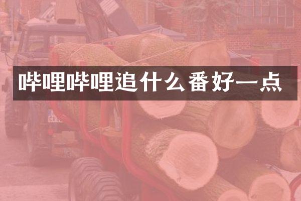 哔哩哔哩追什么番好一点