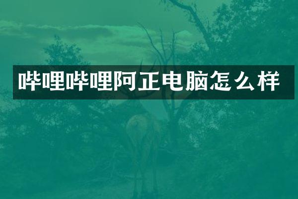 哔哩哔哩阿正电脑怎么样