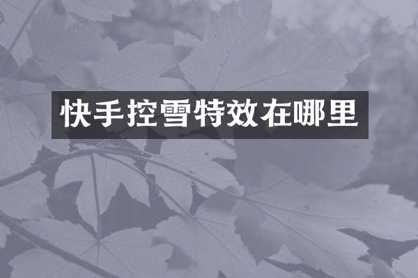 快手控雪特效在哪里