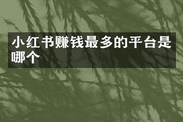 小红书赚钱最多的平台是哪个