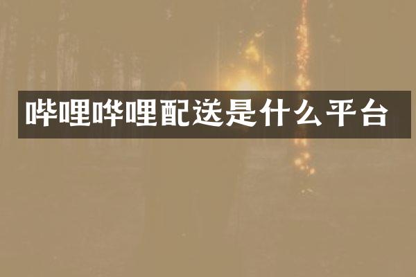 哔哩哗哩配送是什么平台