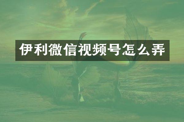 伊利微信视频号怎么弄