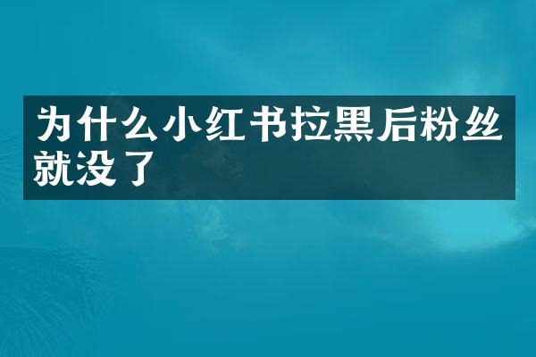 为什么小红书拉黑后粉丝就没了