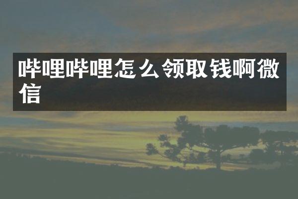 哔哩哔哩怎么领取钱啊微信