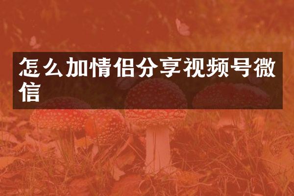 怎么加情侣分享视频号微信