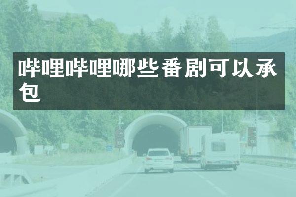 哔哩哔哩哪些番剧可以承包