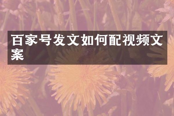 百家号发文如何配视频文案