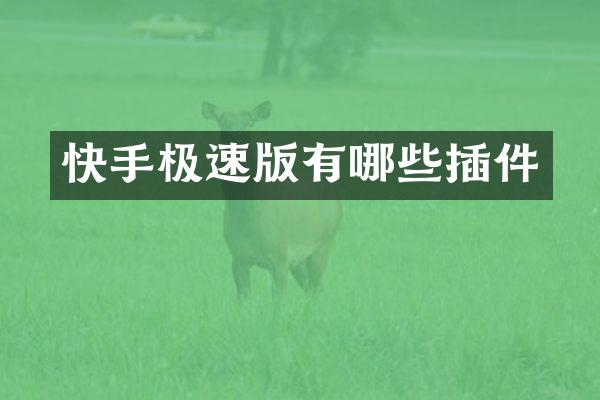 快手极速版有哪些插件