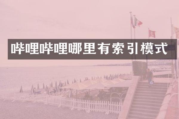 哔哩哔哩哪里有索引模式