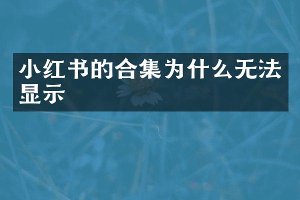 小红书的为什么无法显示