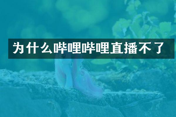 为什么哔哩哔哩直播不了