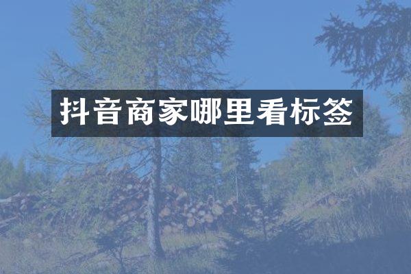 抖音商家哪里看标签