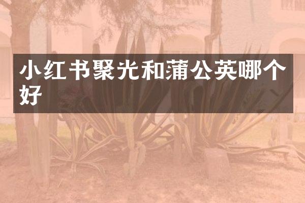 小红书聚光和蒲公英哪个好