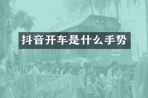 抖音开车是什么手势