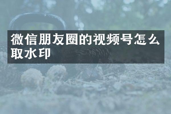 微信朋友圈的视频号怎么取水印