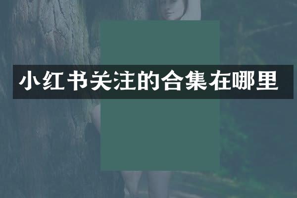 小红书关注的在哪里